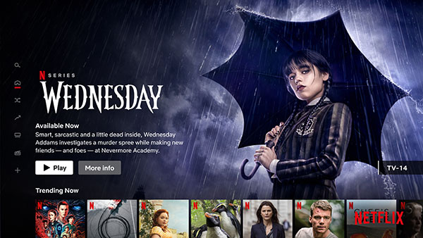 Netflix series 'Wednesday'